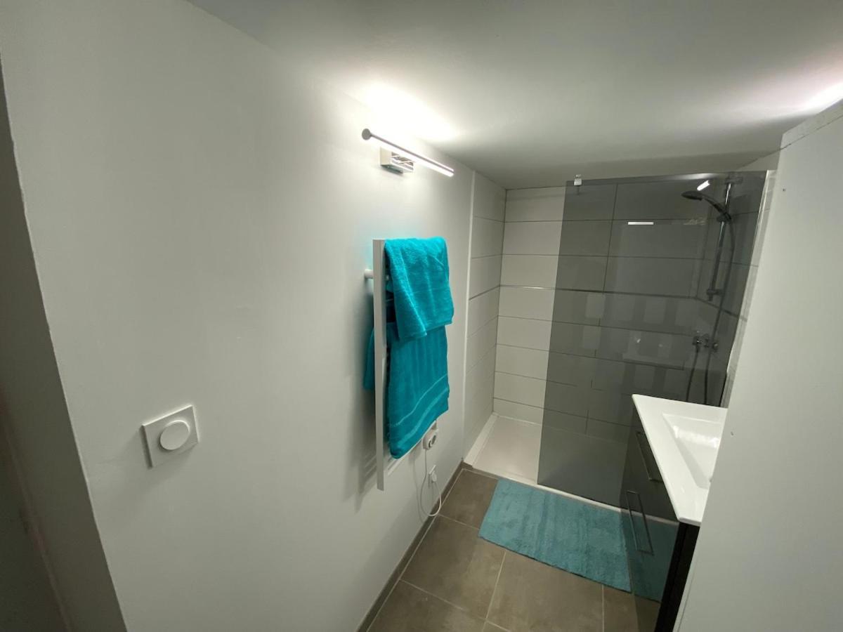 Superbe Appartement Climatise Avec Patio มงต์เปอลิเยร์ ภายนอก รูปภาพ
